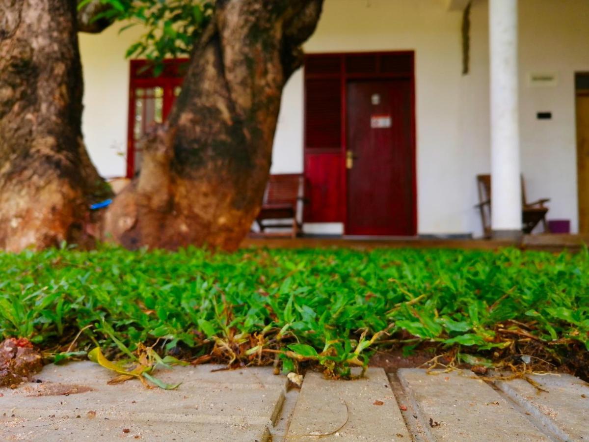 Sigiriya Green Garden Homestay Exterior photo